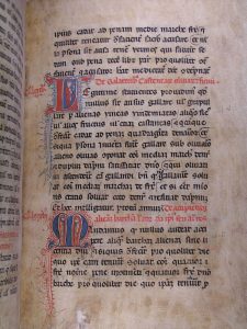 Statuti di Trieste 1350. Libro 2. cap. 85. Su quanti raccolgono castagne, olive e fichi dagli alberi altrui Statuti di Trieste 1350. Libro 2. cap. 85. Su quanti raccolgono castagne, olive e fichi dagli alberi altrui